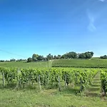 Au Des Vignes