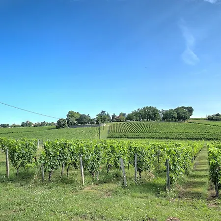 ベッド・アンド・ブレックファスト Au Des Vignes