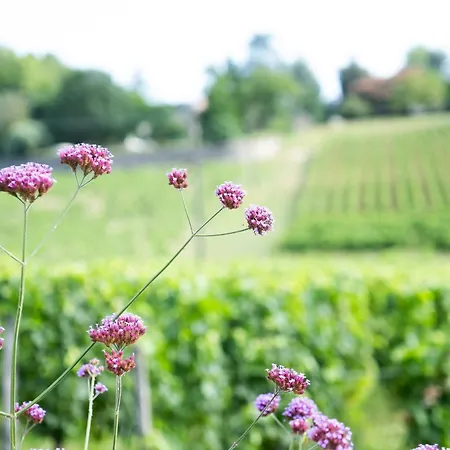 B&B Au Des Vignes 3*